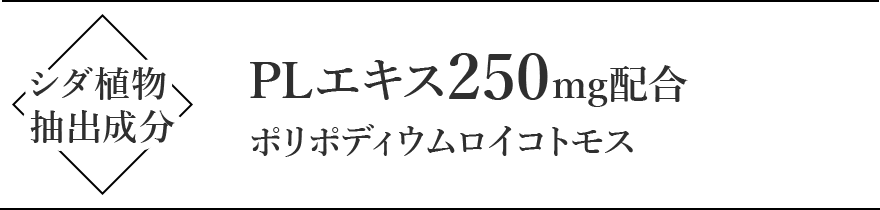 乳酸菌EC-12株1000億個配合