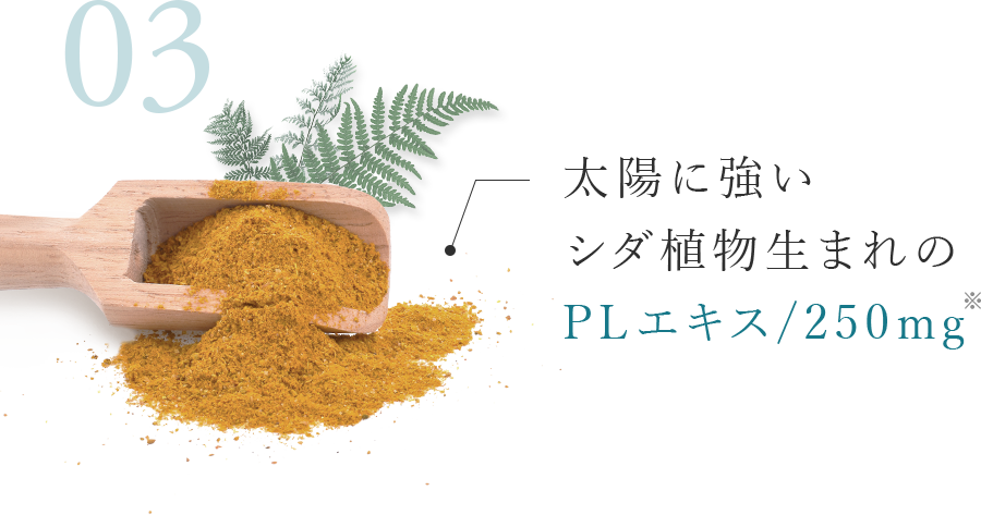 太陽に強いシダ植物生まれのPLエキス/250mg