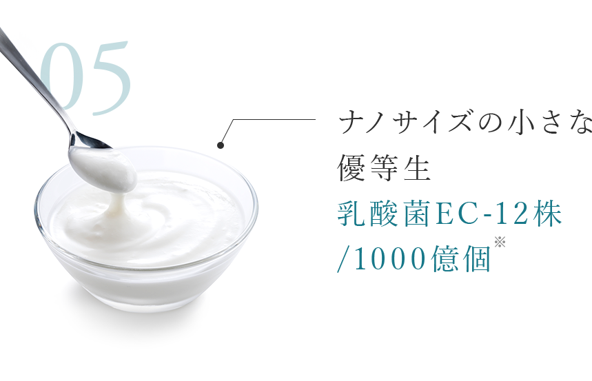 ナノサイズの小さな優等生 乳酸菌EC-12株/1000億個