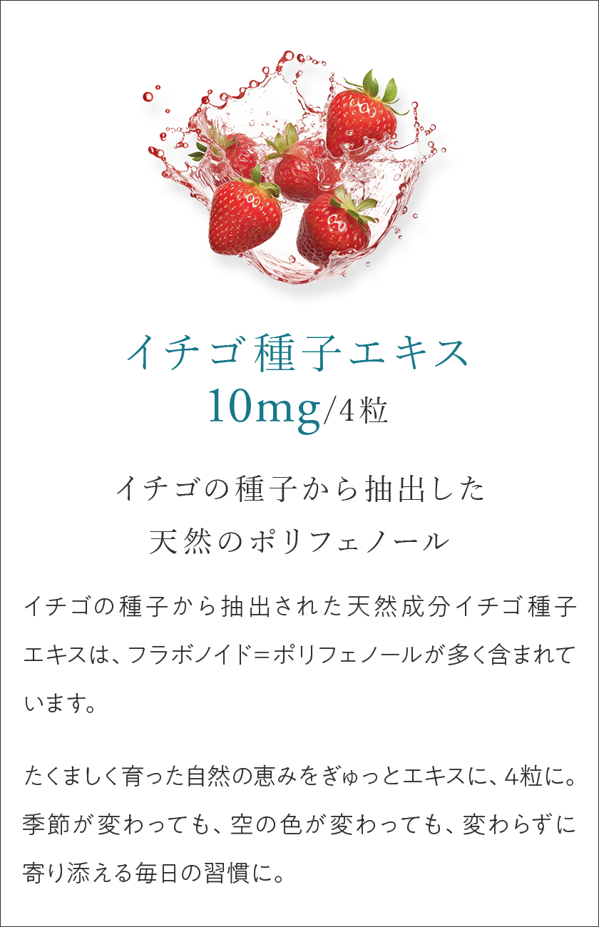 イチゴ種子エキス10mg